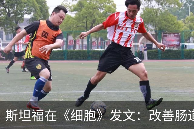 斯坦福在《细胞》发文：改善肠道菌群，靠的是发酵食品，而不是膳食纤维